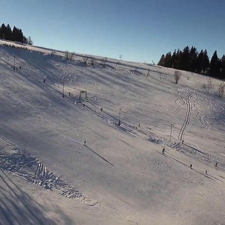Chatky U Potoka Chatka N3 Olesnice v Orlickych horach Eksteriør bilde